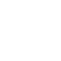 Bayer